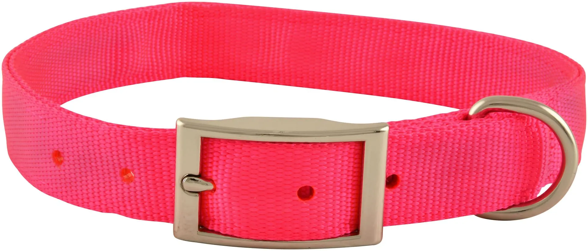 1" Nylon Dog Collar, 22"L