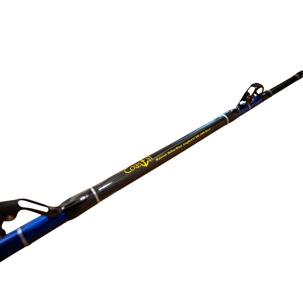 50lb Stand up Trolling Roller Rod & 30W Conventional Reel