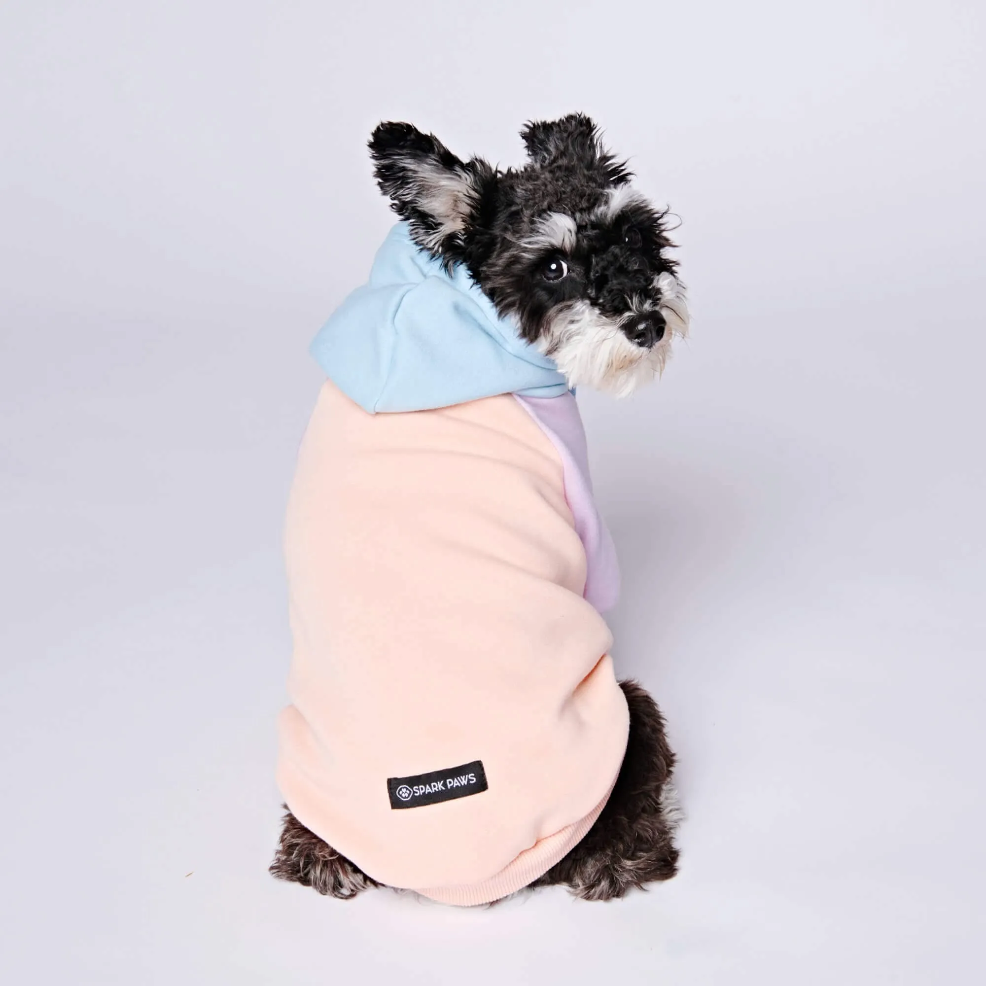 Color Block Dog Hoodies