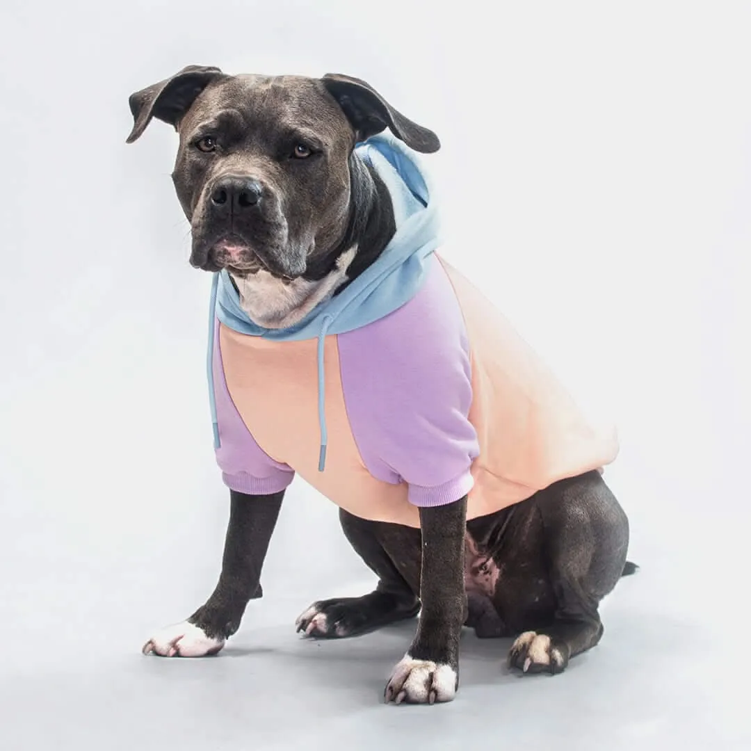 Color Block Dog Hoodies