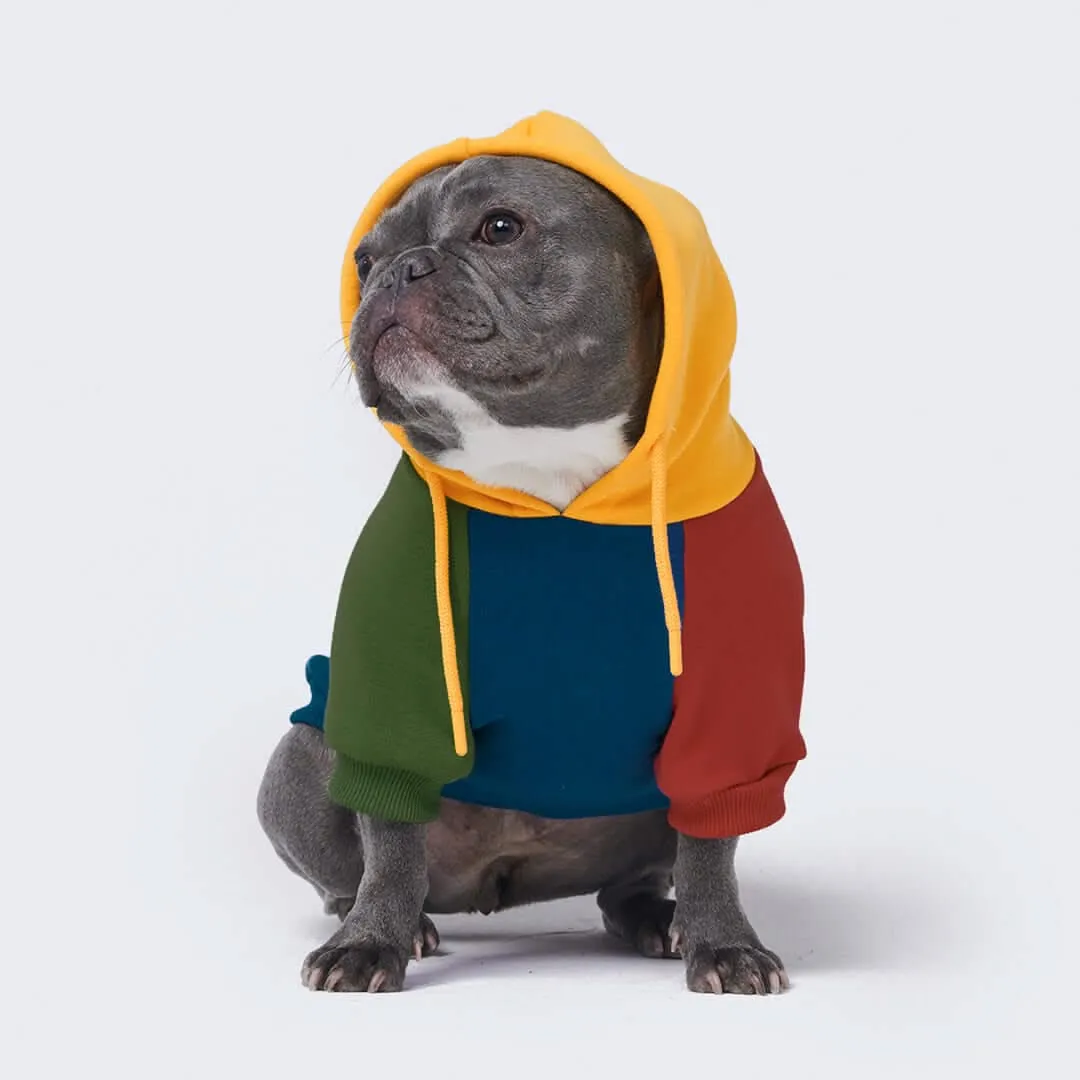 Color Block Dog Hoodies