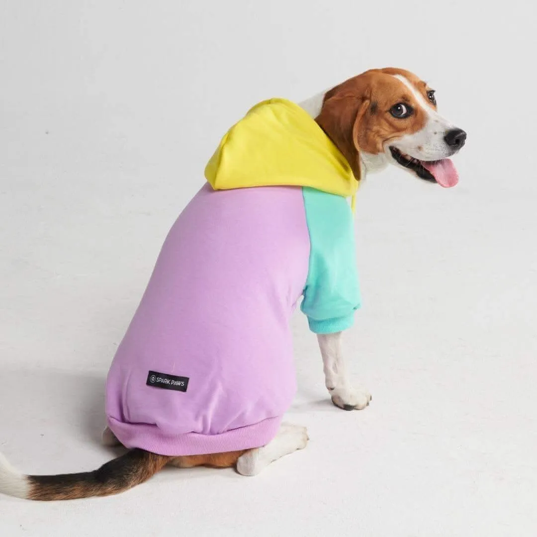 Color Block Dog Hoodies