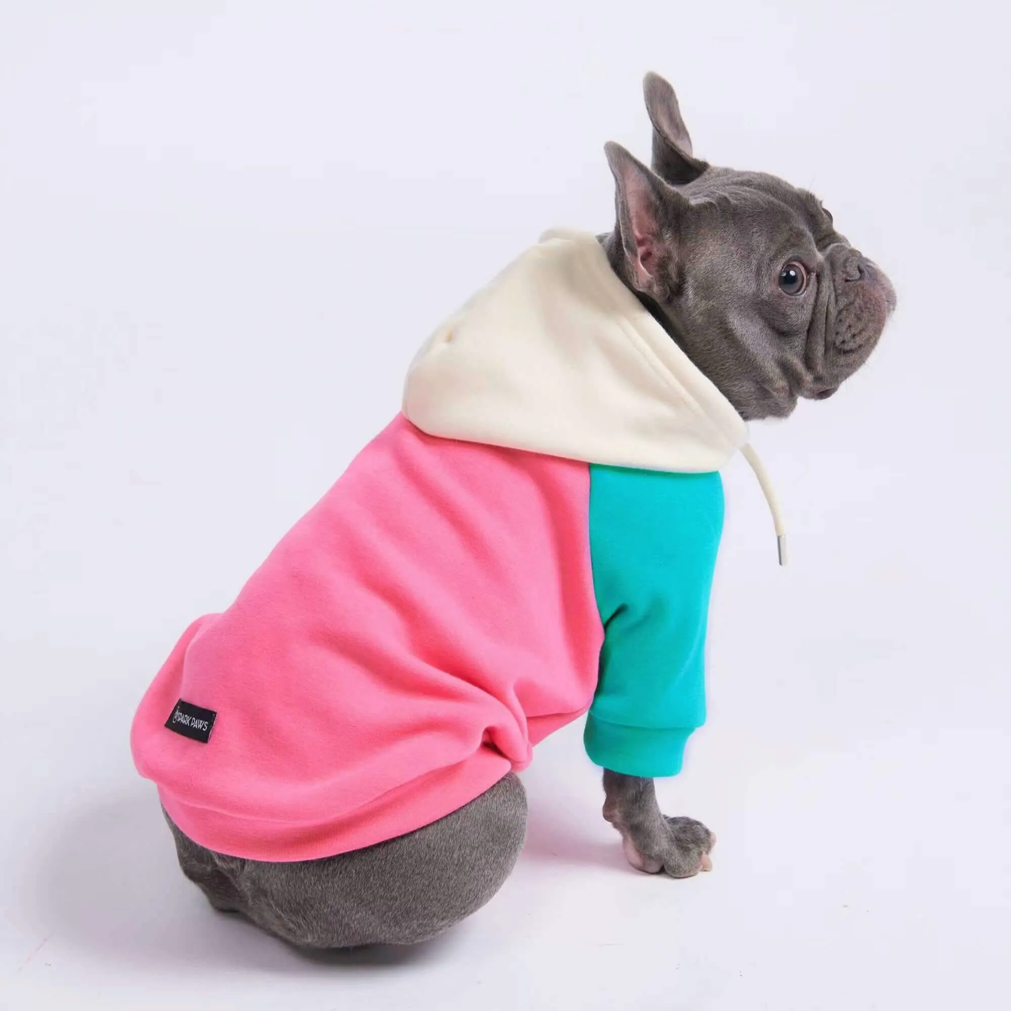 Color Block Dog Hoodies