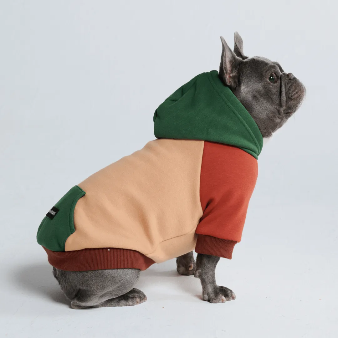 Color Block Dog Hoodies