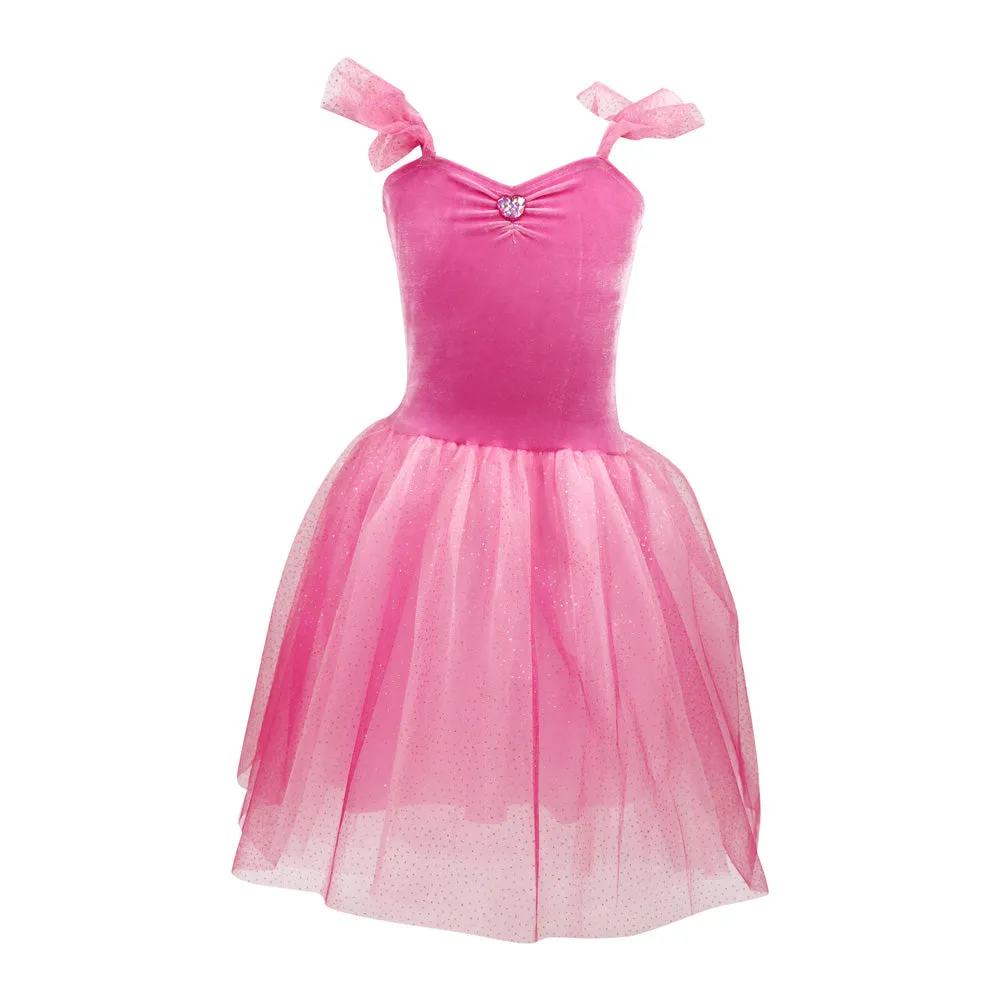 Princess Rose Velvet Dress with Tulle Skirt