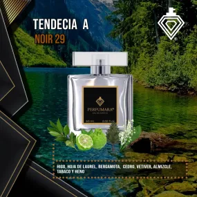 Tendencia a UThe Noir 29