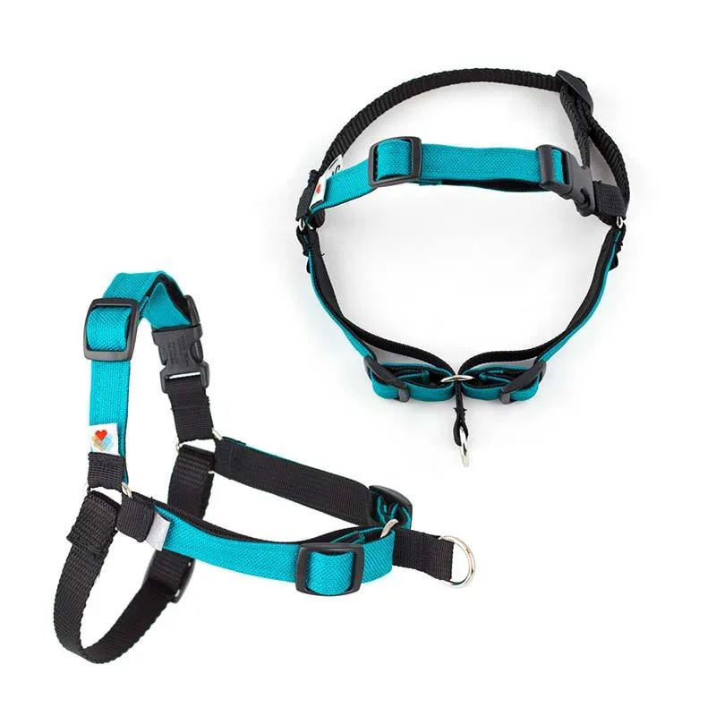 Wildebeest No-Pull, Front-Attachment Dog Harness